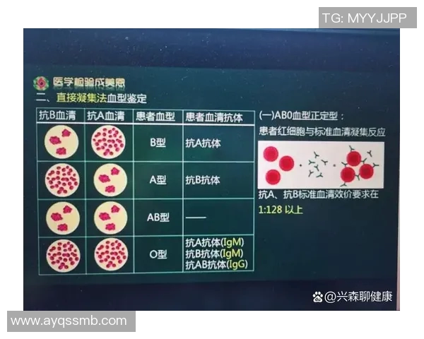 体育明星血型排名揭秘谁是最强血型运动员的秘密与影响